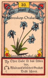 Die Lilien im Krebs Monatshoroskop an diesem Tag