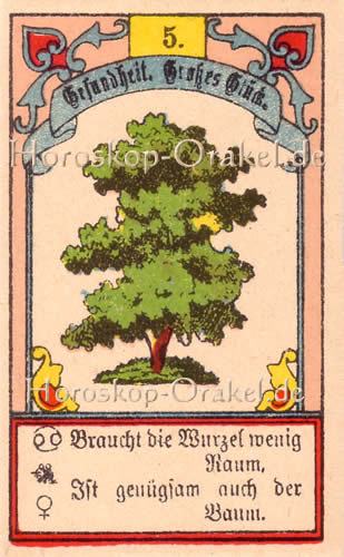 Der Baum im Krebs Tageshoroskop morgen