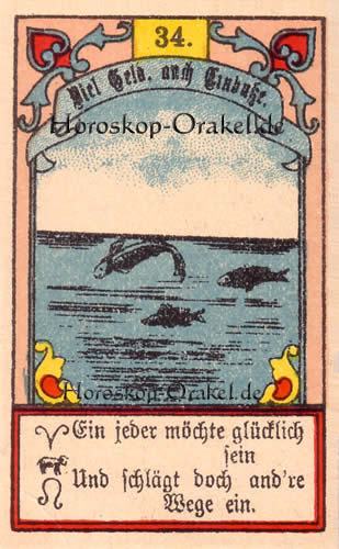 Die Fische im Krebs Tageshoroskop morgen