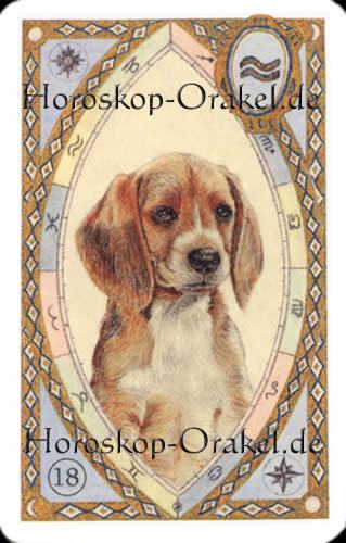 Der Hund, Krebs Monatshoroskop